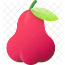Rose Apple Fruit Healthy Icon