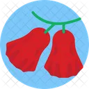 Exotic Fruits Rose Apples Apples Icon