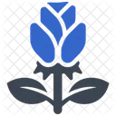 Rose Blume Romantik Symbol