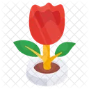 Rose  Icon