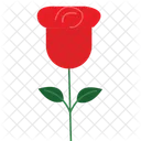 Rose Blumenblute Rosenblute Symbol