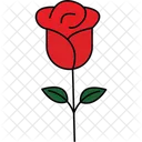 Rose Blumenblute Rosenblute Symbol