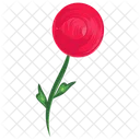 Flower Rose Bud Floral Icon