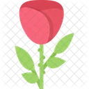 Rose Ecology Nature Icon
