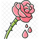 Rose extract  Symbol