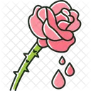 Rose extract  Icon