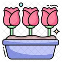 Rose Flower  Icon