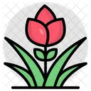 장미꽃 꽃 꽃 아이콘