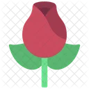 Rose Flower  Icon