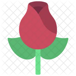 Rose Flower  Icon