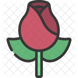 Rose Flower  Icon