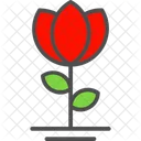 Rose Flower Rose Flower Icon
