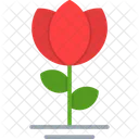 Rose Flower  アイコン