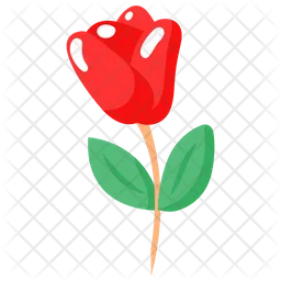 Rose Flower  Icon