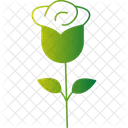 Rose Flower Floral Bloom Rose Blossom Icon