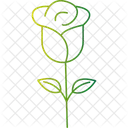 Rose Flower Floral Bloom Rose Blossom Icon