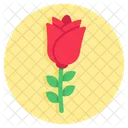 Rose Flower Floweret Blossom Icon