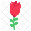 Rose Flower Floweret Blossom Icon