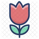 Rose Flower  Icon