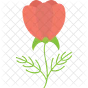 Rose Flower With Leafs  Icon