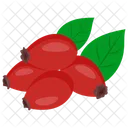 Rose hip  Icon