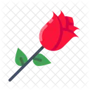 Rose Day Love Icon