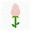 Rose Flower Blossom Icon