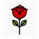 Rose  Icon