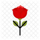 Rose Flower Love Icon