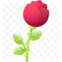 Rose Flower Love Icon