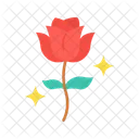 Rose Flower Love Icon