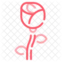 Rose Flower Love Icon