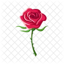 Rose Valentine Love Icon