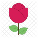 Rose Flower Nature Icon