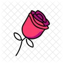 Rose Love Romance Icon