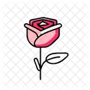 Rose  Icon