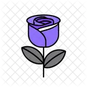 Rose  Icon