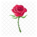 Rose Valentine Love Icon