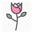 Rose  Icon