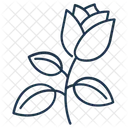 Rose Plant Garden Icon