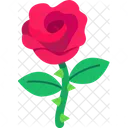 Rose  アイコン