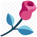 Rose Valentine Gift Icon