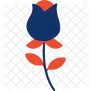 Rose  Icon