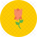 Rose Blume Ostern Symbol