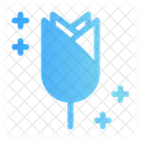 Rose Flower Nature Icon