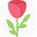 Rose Okologie Natur Symbol