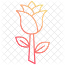 Rose petals  Icon