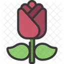 Rose Plant  Icon