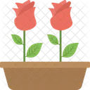 Rose Plant Flower Icon