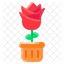 Rose Pot Flower Plant Icon